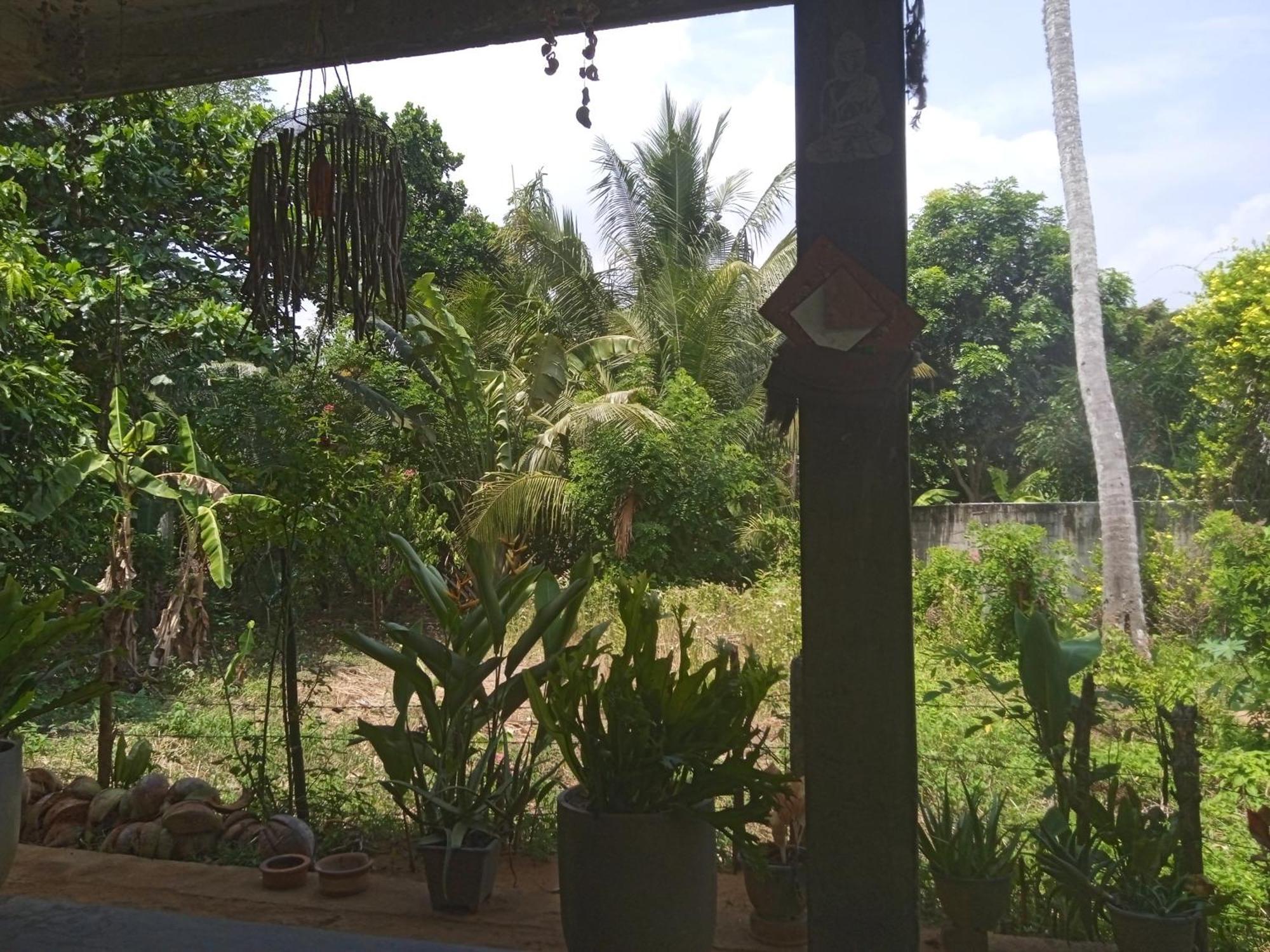 Julianu Hotel Tangalle Exterior photo