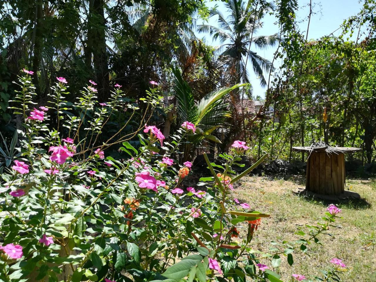 Julianu Hotel Tangalle Exterior photo