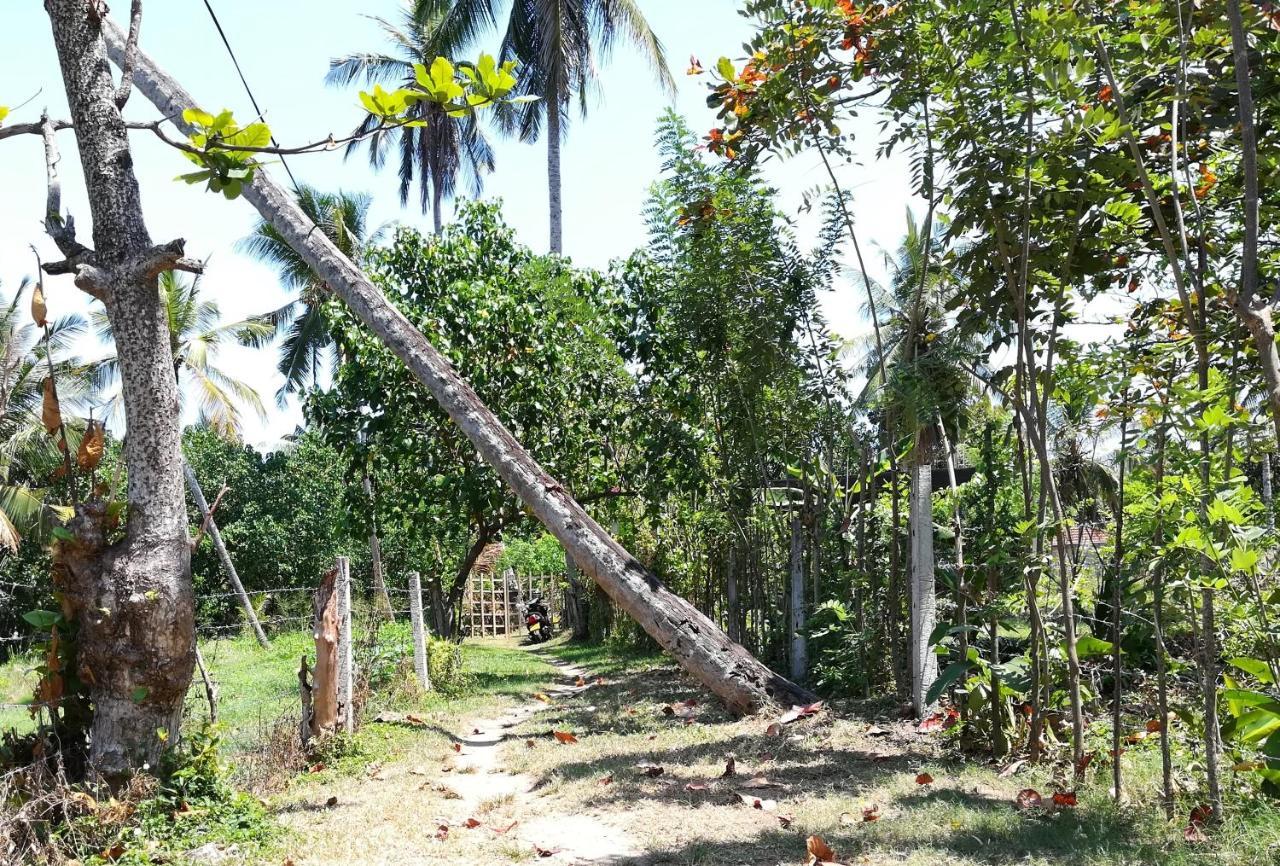 Julianu Hotel Tangalle Exterior photo